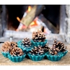 Pine Cone Firelighters