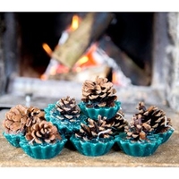 Pine Cone Firelighters