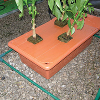 Plant Hydro System Growing Kit (3 plant kit)