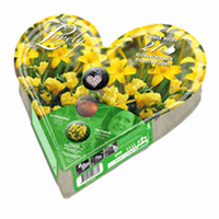 Plant-o-Mat Heart Shaped - Chlidanthus/Freesia