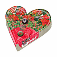 Plant-o-Mat Heart Shaped - Oxalis/Freesia