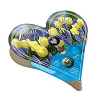 Plant-O-Tray Heart Preplanted Bulbs - Tulip and Muscari