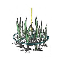 Plant Ring Supports