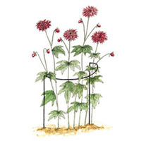 Plant Support Cradles