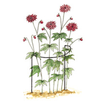 Plant Support Cradles