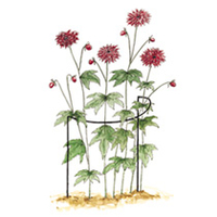 Plant Support Cradles