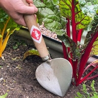 Planting Trowel Old Dutch style