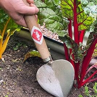 Planting Trowel Old Dutch style