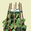 Plastic Cane Ring