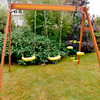 Plum Double Swing & Glider