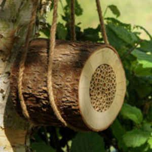 Pollinating Bee Log