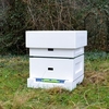 Poly Hive Starter Kit