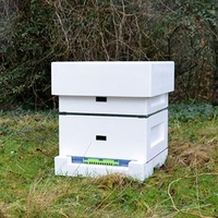 Poly Hive Starter Kit
