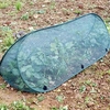 Pop Up Triangle Cloche - Medium Net