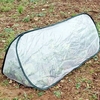 Pop-up Triangle Cloche Medium Polythene