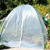 Popadome - Poly Cover