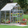 Popular Horticultural Glass Greenhouse
