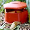 Portable Slug and Snail Trap