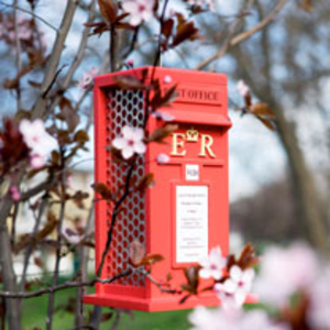 Postbox Peanut Bird Feeder