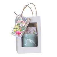 Pot Full of Flower Bulbs - Pink