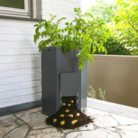 Potato Planter