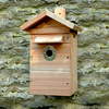 Premium Camera Nest Box Kit