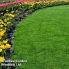 Premium Lawn Seed - 20kg