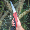 Pruning Saw