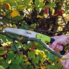 Pruning Saw