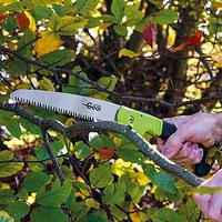 Pruning Saw