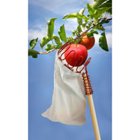 Quicker Fruit Picker