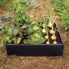 Raised Bed Kit (Pack of 2)