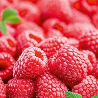 Raspberry Bare Root Plants - Seasonal Collection