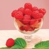 Raspberry Plants - Octavia