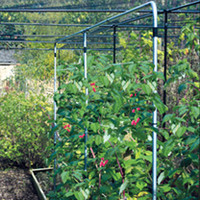 Raspberry Support - Galvanised