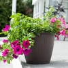 Rattan Effect Plant Pot - Large