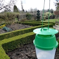 RHS Box Moth Trap