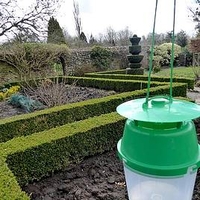 RHS Box Moth Trap and Refill