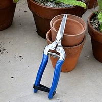 RHS British Meadow Flower and Fruit Snip