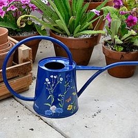 RHS British Meadow Indoor Watering Can