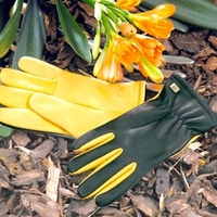 RHS Dry Touch Gloves - Mens