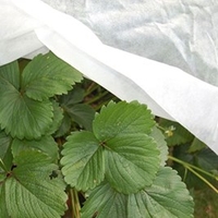 RHS Envirofleece 30g - Winter Weight Insulation