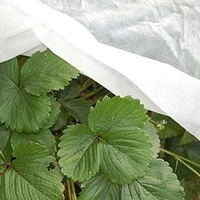 RHS Envirofleece 30g - Winter Weight Insulation