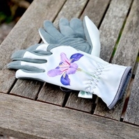 RHS Gloves - Malvern RHS Collection