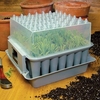 RHS Plug Plant Trainer Propagator