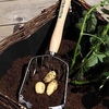 RHS Potato Harvesting Scoop