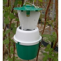 RHS Raspberry Beetle Trap - Refill