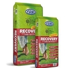 RHS Recovery
