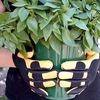 RHS Soft Touch Gloves