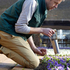 RHS Stainless Bulb Planter